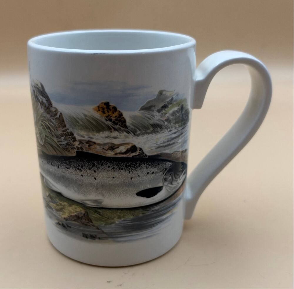 Portmeirion Compleat Angler Salmon Salmo Salar Mug 1981 England Fish